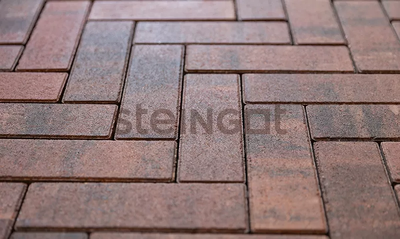 Брусчатка и тротуарная плитка STEINGOT Паркет Color Mix Клинкер